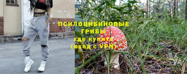 крисы Саяногорск