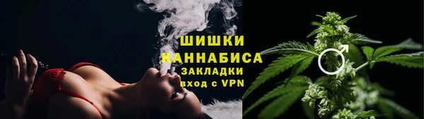 прущие грибы Мегион
