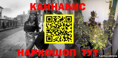 стаф Донецк