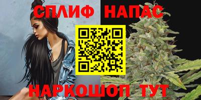 эйфоретик Дубна