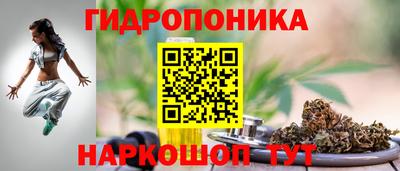стаф Донецк