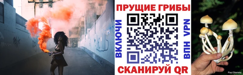 цена   Воткинск  Галлюциногенные грибы Magic Shrooms 