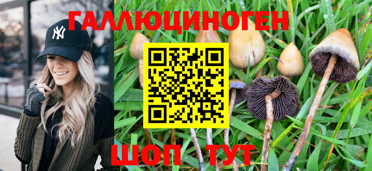 Галлюциногенные грибы MAGIC MUSHROOMS  где найти наркотики  Воткинск  Вход с VPN 